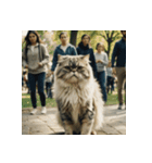 白猫の新日常2（個別スタンプ：16）