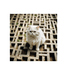 白猫の新日常2（個別スタンプ：35）