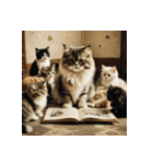 白猫の新日常2（個別スタンプ：37）