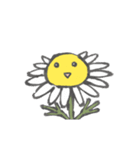 応援カミツレスタンプ（個別スタンプ：1）