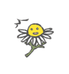 応援カミツレスタンプ（個別スタンプ：19）