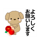 ずっと使える優しい気遣い プードル 冬（個別スタンプ：17）
