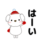 ずっと使える優しい気遣い プードル 冬（個別スタンプ：20）