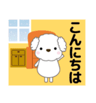 ずっと使える優しい気遣い プードル 冬（個別スタンプ：23）