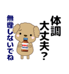 ずっと使える優しい気遣い プードル 冬（個別スタンプ：32）