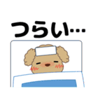ずっと使える優しい気遣い プードル 冬（個別スタンプ：34）
