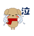 ずっと使える優しい気遣い プードル 冬（個別スタンプ：35）