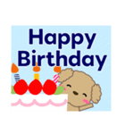 ずっと使える優しい気遣い プードル 冬（個別スタンプ：38）