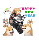 バイク好き柴犬♡年末年始 年賀(再販)（個別スタンプ：3）