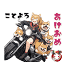 バイク好き柴犬♡年末年始 年賀(再販)（個別スタンプ：4）