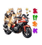 バイク好き柴犬♡年末年始 年賀(再販)（個別スタンプ：5）