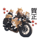 バイク好き柴犬♡年末年始 年賀(再販)（個別スタンプ：7）