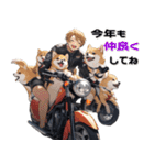 バイク好き柴犬♡年末年始 年賀(再販)（個別スタンプ：11）