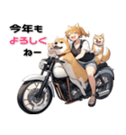 バイク好き柴犬♡年末年始 年賀(再販)（個別スタンプ：12）