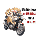バイク好き柴犬♡年末年始 年賀(再販)（個別スタンプ：13）
