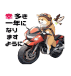 バイク好き柴犬♡年末年始 年賀(再販)（個別スタンプ：16）
