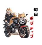 バイク好き柴犬♡年末年始 年賀(再販)（個別スタンプ：23）