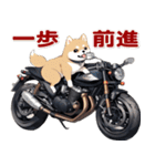 バイク好き柴犬♡年末年始 年賀(再販)（個別スタンプ：24）