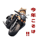 バイク好き柴犬♡年末年始 年賀(再販)（個別スタンプ：25）