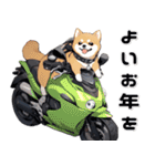 バイク好き柴犬♡年末年始 年賀(再販)（個別スタンプ：31）