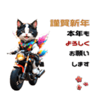 バイク好きネコ♡年末年始 年賀(再販)（個別スタンプ：5）