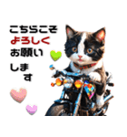 バイク好きネコ♡年末年始 年賀(再販)（個別スタンプ：11）