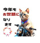 バイク好きネコ♡年末年始 年賀(再販)（個別スタンプ：12）