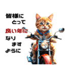 バイク好きネコ♡年末年始 年賀(再販)（個別スタンプ：20）
