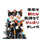 バイク好きネコ♡年末年始 年賀(再販)（個別スタンプ：22）