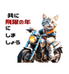 バイク好きネコ♡年末年始 年賀(再販)（個別スタンプ：23）
