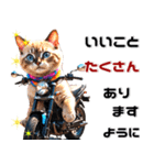 バイク好きネコ♡年末年始 年賀(再販)（個別スタンプ：24）