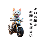 バイク好きネコ♡年末年始 年賀(再販)（個別スタンプ：31）