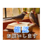 文鳥達の年末年始（個別スタンプ：9）