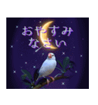 文鳥達の年末年始（個別スタンプ：13）