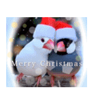 文鳥達の年末年始（個別スタンプ：15）