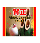 文鳥達の年末年始（個別スタンプ：17）