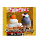 文鳥達の年末年始（個別スタンプ：19）