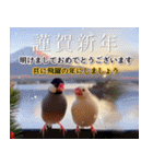 文鳥達の年末年始（個別スタンプ：22）