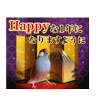 文鳥達の年末年始（個別スタンプ：24）
