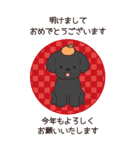 やさしいトイプー『年末年始2026』3（個別スタンプ：1）