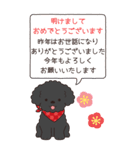 やさしいトイプー『年末年始2026』3（個別スタンプ：4）