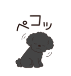 やさしいトイプー『年末年始2026』3（個別スタンプ：6）