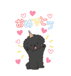 やさしいトイプー『年末年始2026』3（個別スタンプ：8）