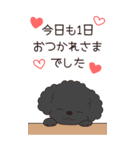 やさしいトイプー『年末年始2026』3（個別スタンプ：12）