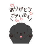 やさしいトイプー『年末年始2026』3（個別スタンプ：15）