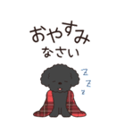 やさしいトイプー『年末年始2026』3（個別スタンプ：16）