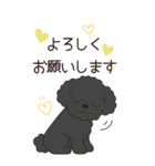 やさしいトイプー『年末年始2026』3（個別スタンプ：21）