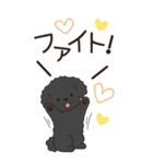 やさしいトイプー『年末年始2026』3（個別スタンプ：22）