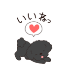 やさしいトイプー『年末年始2026』3（個別スタンプ：25）