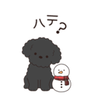 やさしいトイプー『年末年始2026』3（個別スタンプ：28）